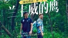 成年人男人的崩溃？游戏画面